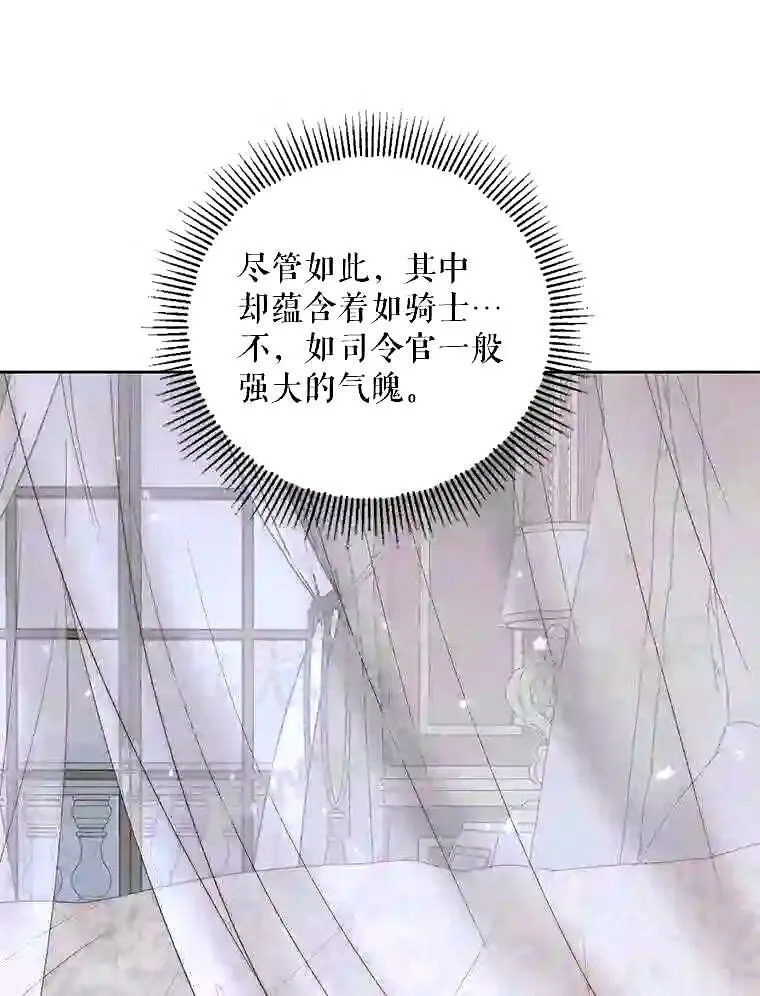 34.春之精灵38