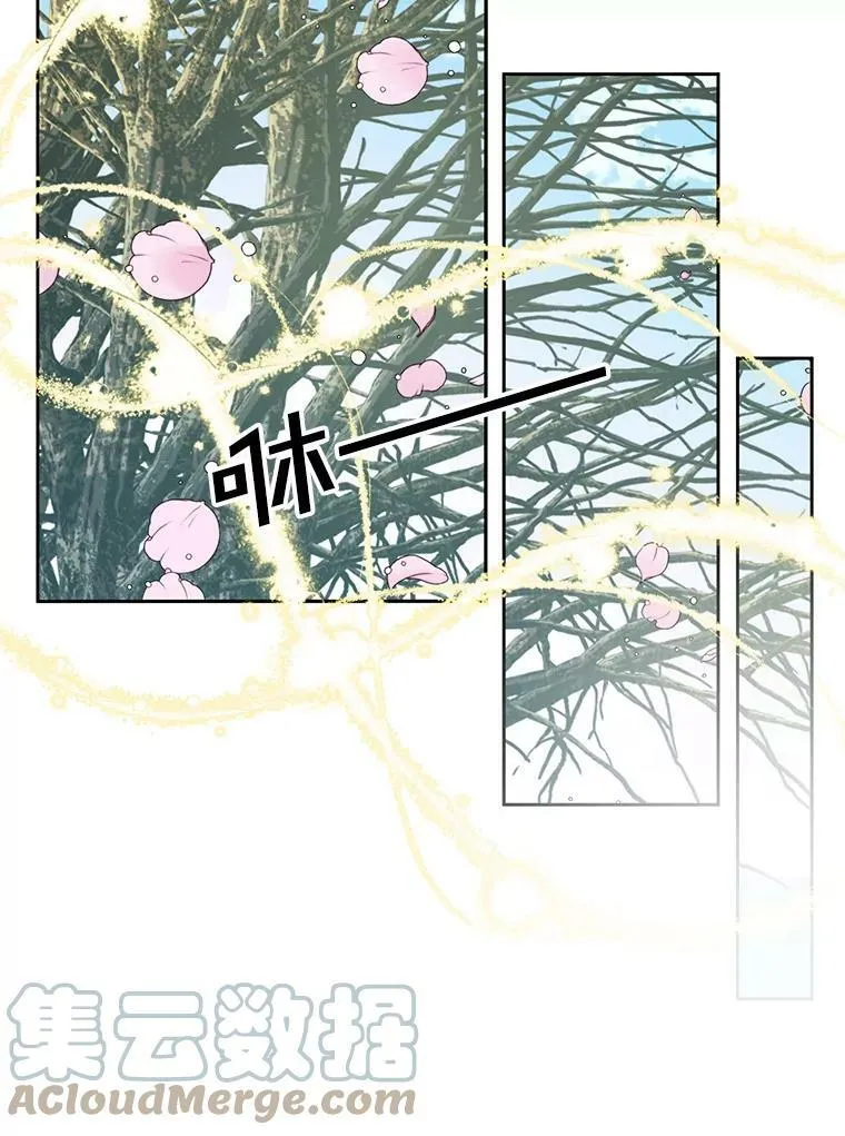 9.樱花树的重生52
