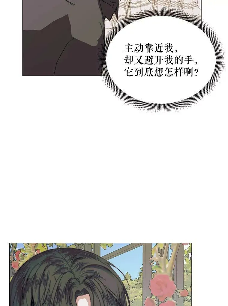 20.包扎34