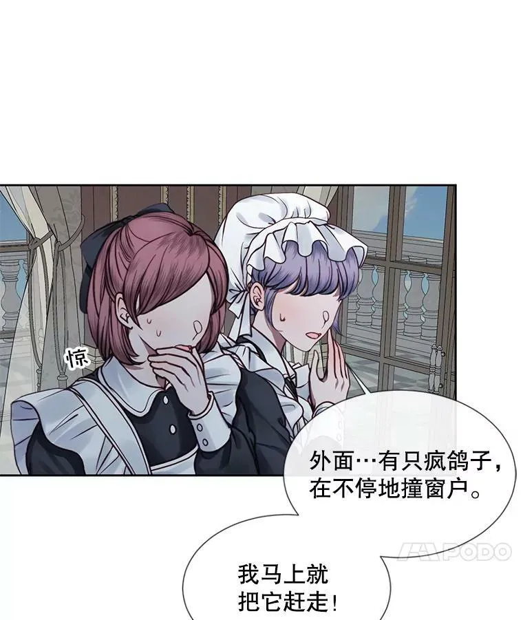 9.樱花树的重生81