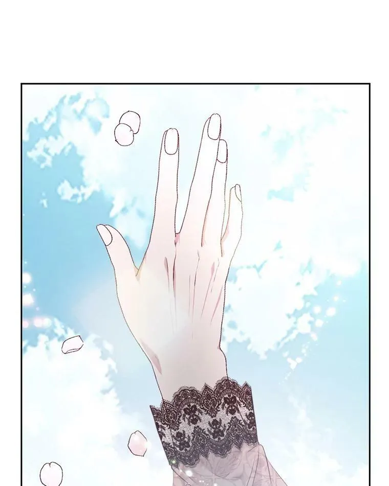 9.樱花树的重生94