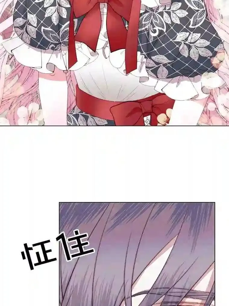 23.命运齿轮41