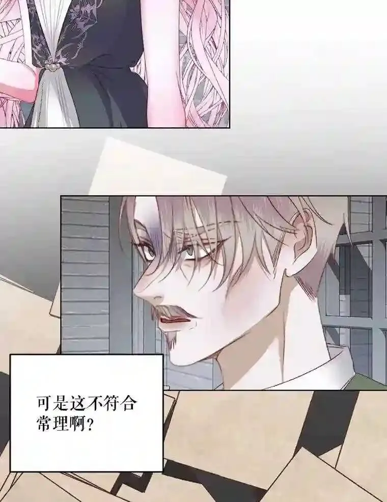 29.文森特的秘密33