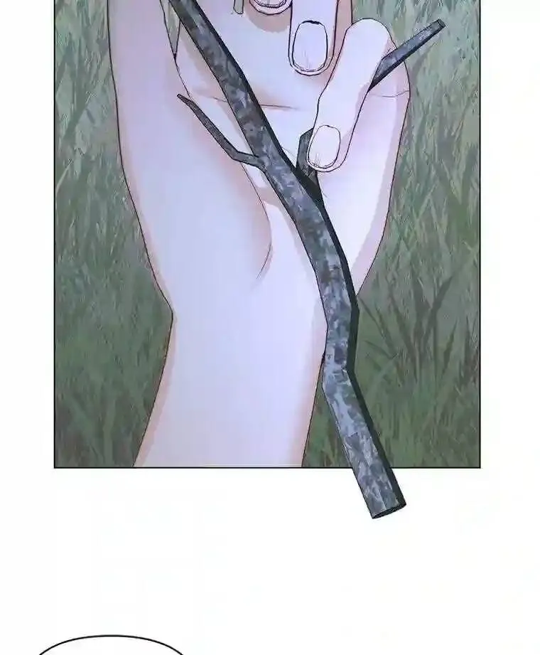 26.陷入危险8