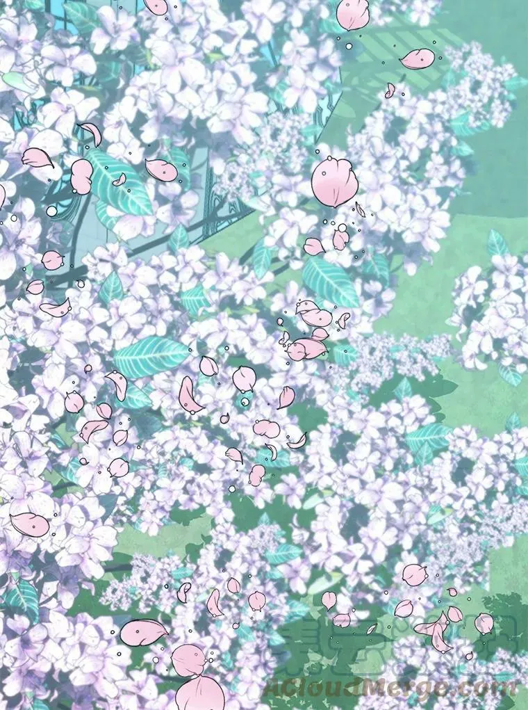 9.樱花树的重生56
