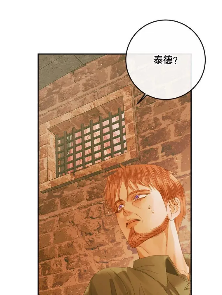 79.解救泰德46