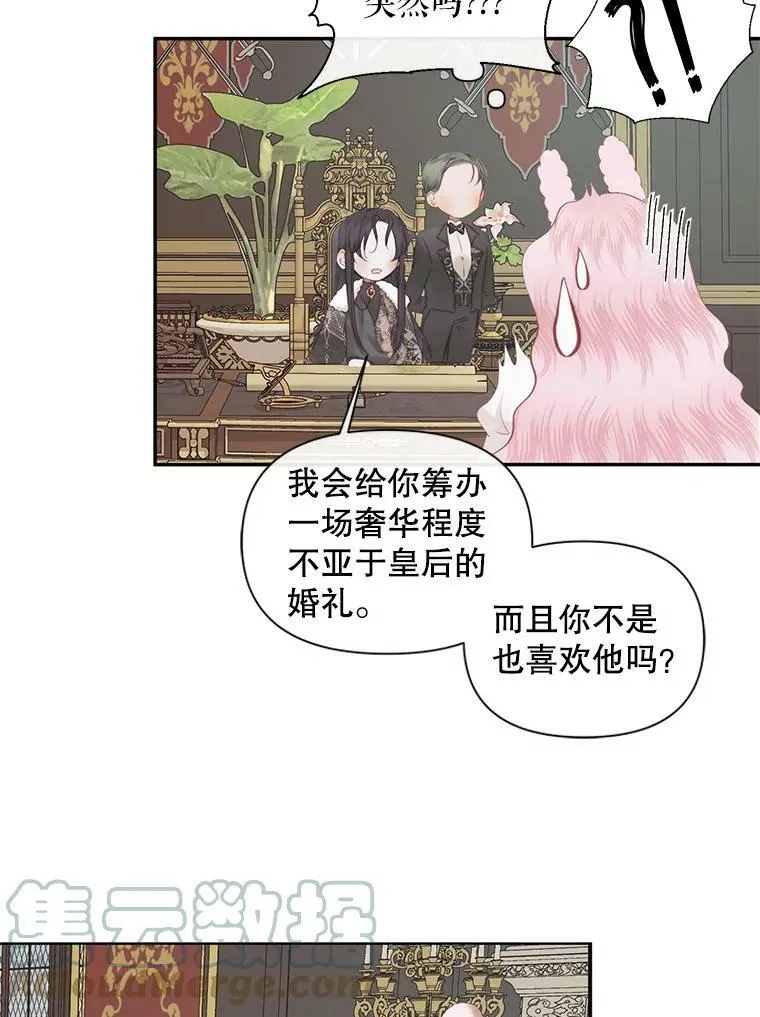 16.宠爱52