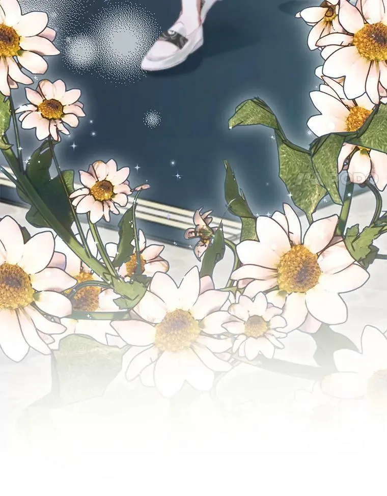 16.宠爱114