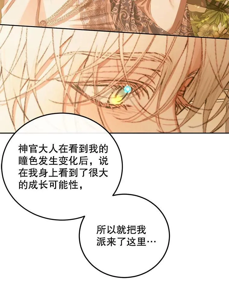 58.十一岁50