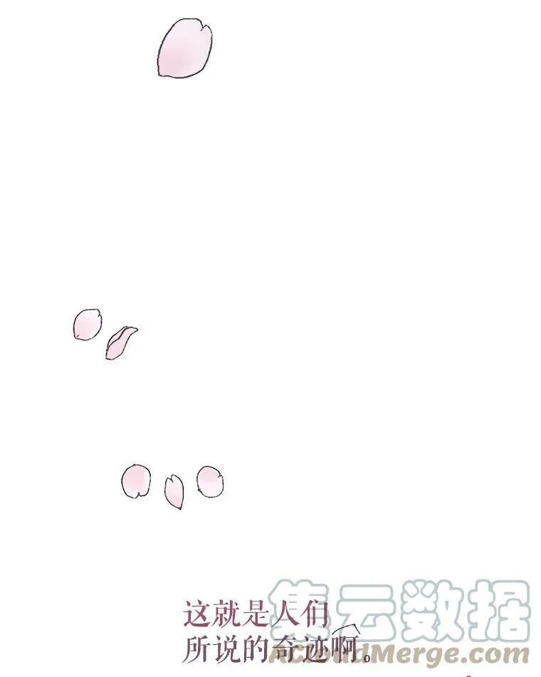 9.樱花树的重生100