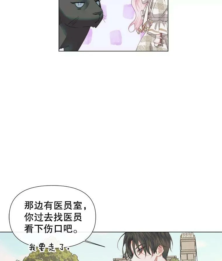 20.包扎75
