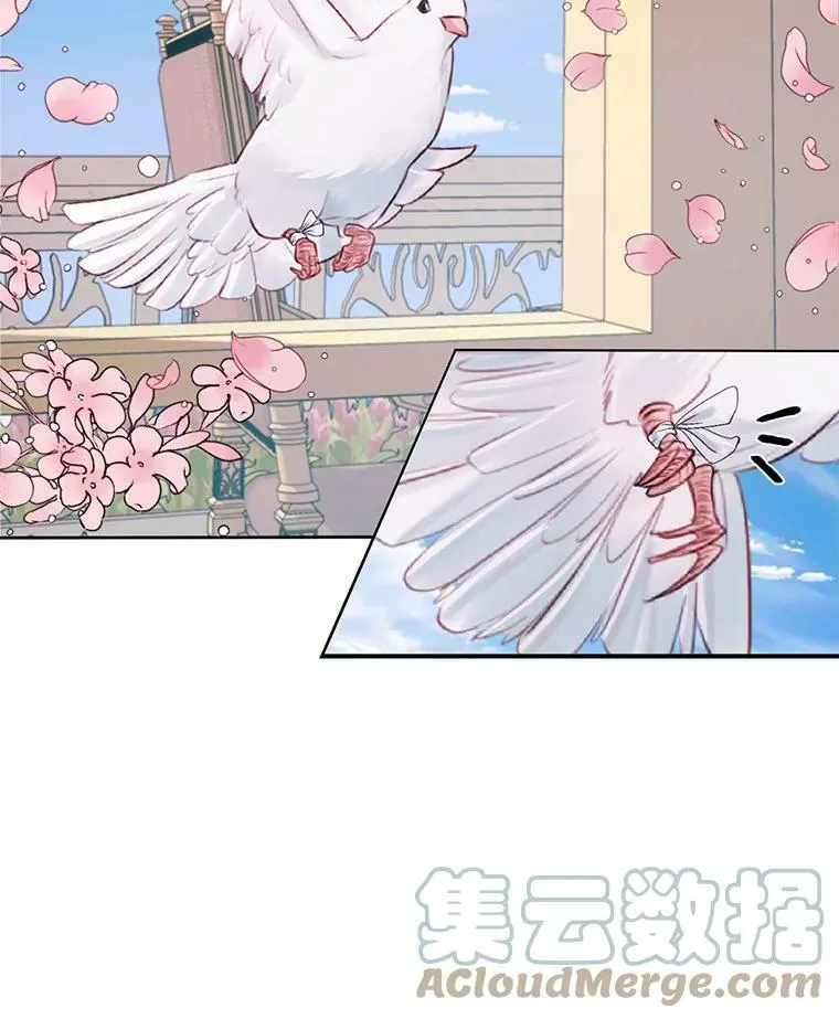 12.神秘来信63