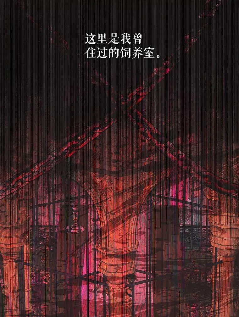 68.陷阱2