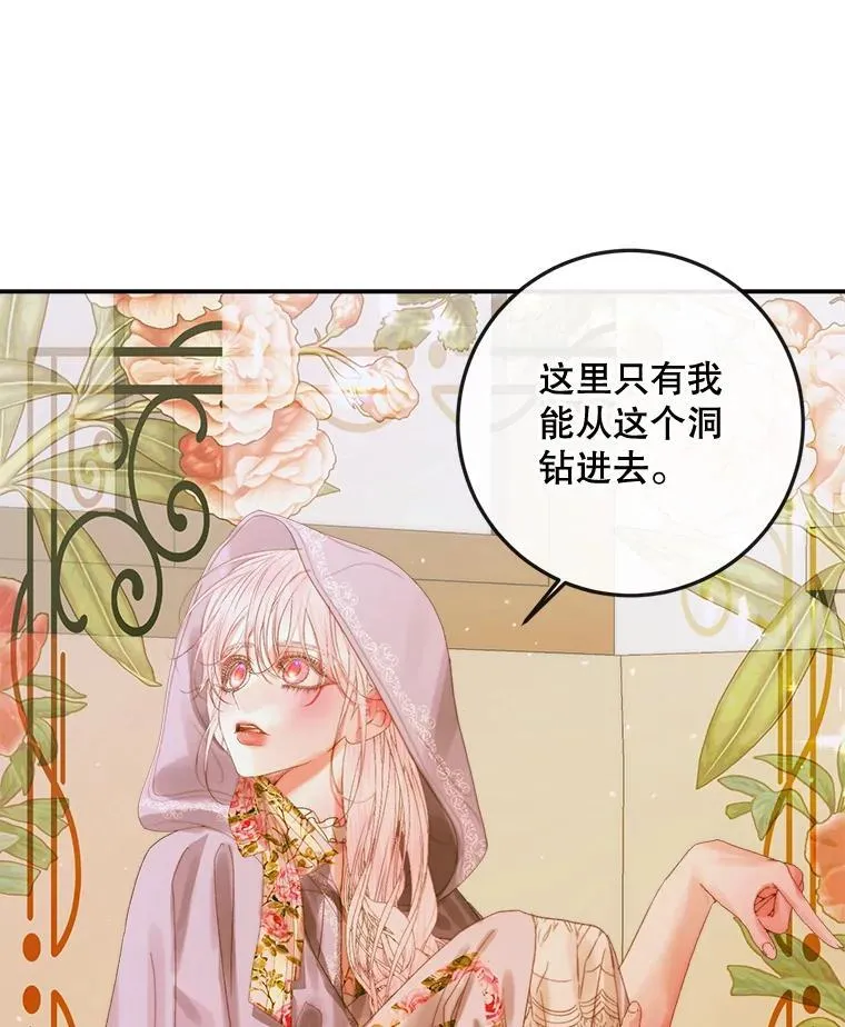 79.解救泰德51