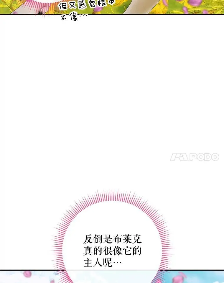 91.推向深渊82