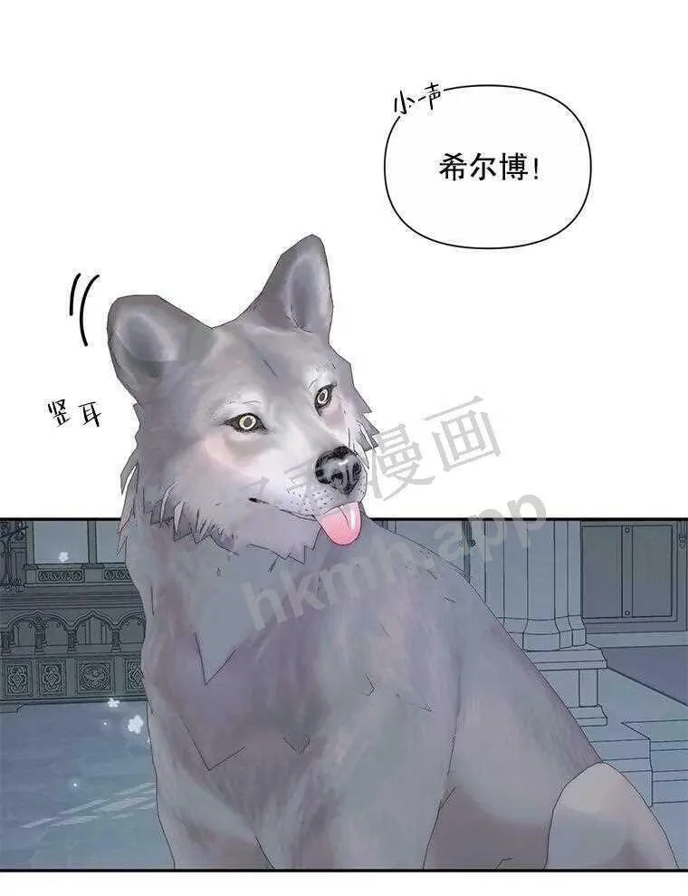33.创造奇迹64