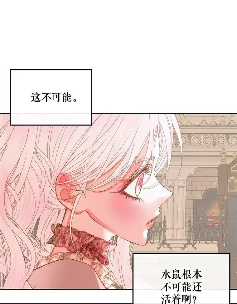 65.水鼠101