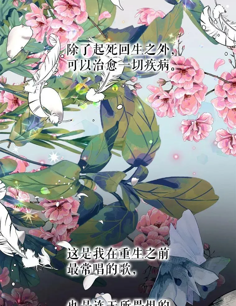 17.回城63