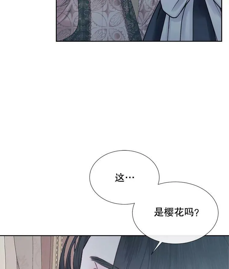 9.樱花树的重生86