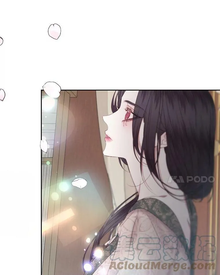 9.樱花树的重生92