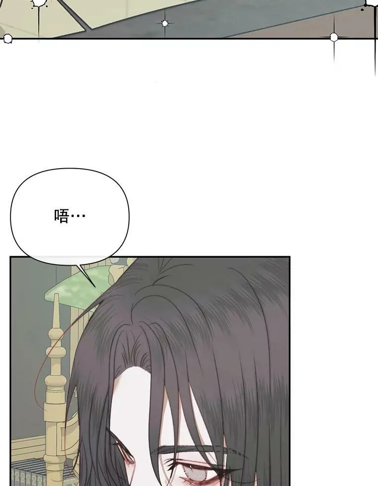 16.宠爱15