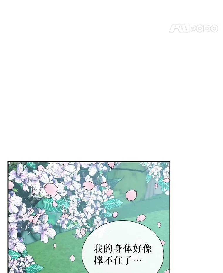 9.樱花树的重生61
