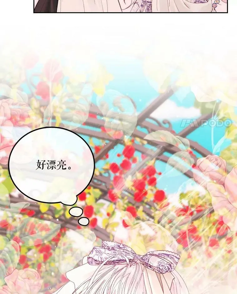 52.再次相遇16