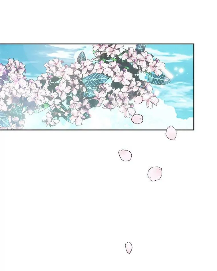 9.樱花树的重生91