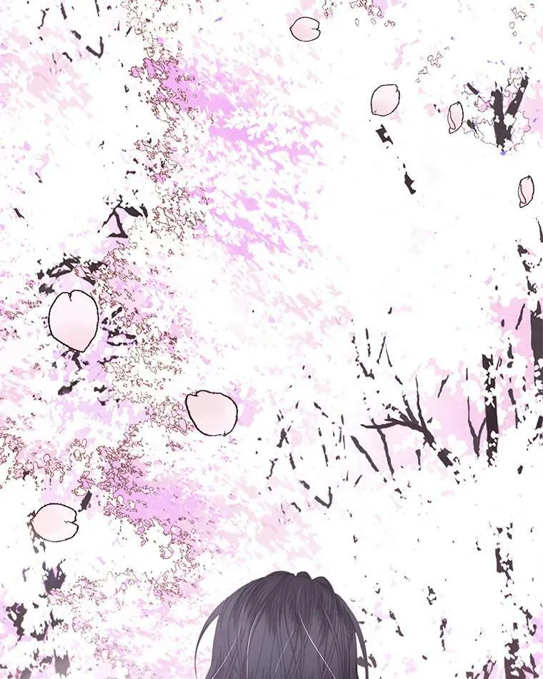9.樱花树的重生98