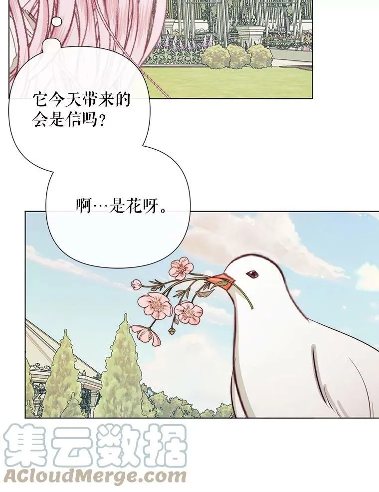 20.包扎12