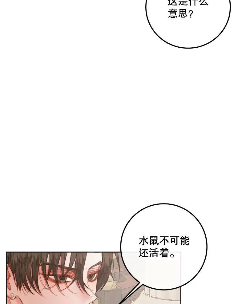 65.水鼠91