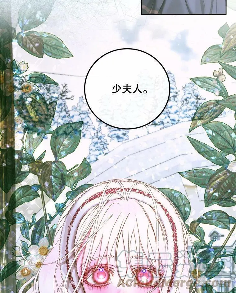 59.做蛋糕48