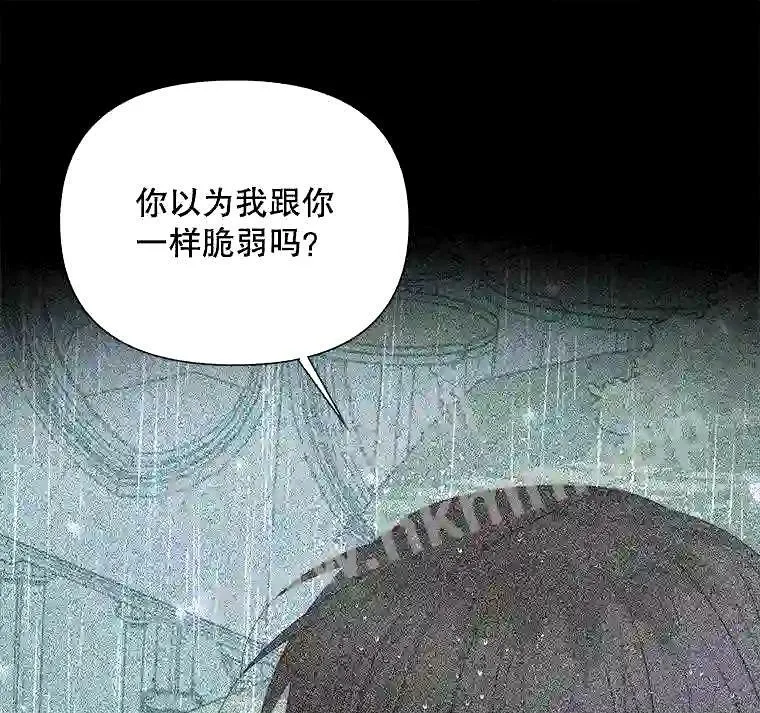 35.不要淋雨88
