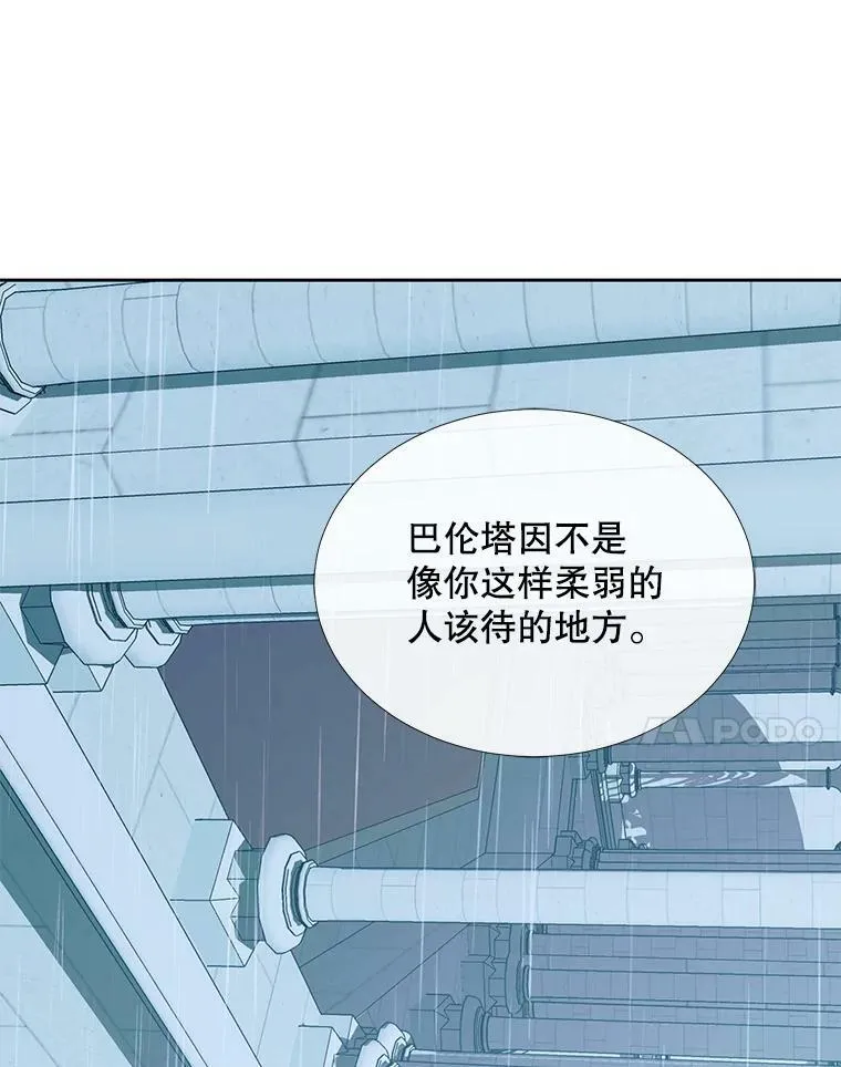 9.樱花树的重生13