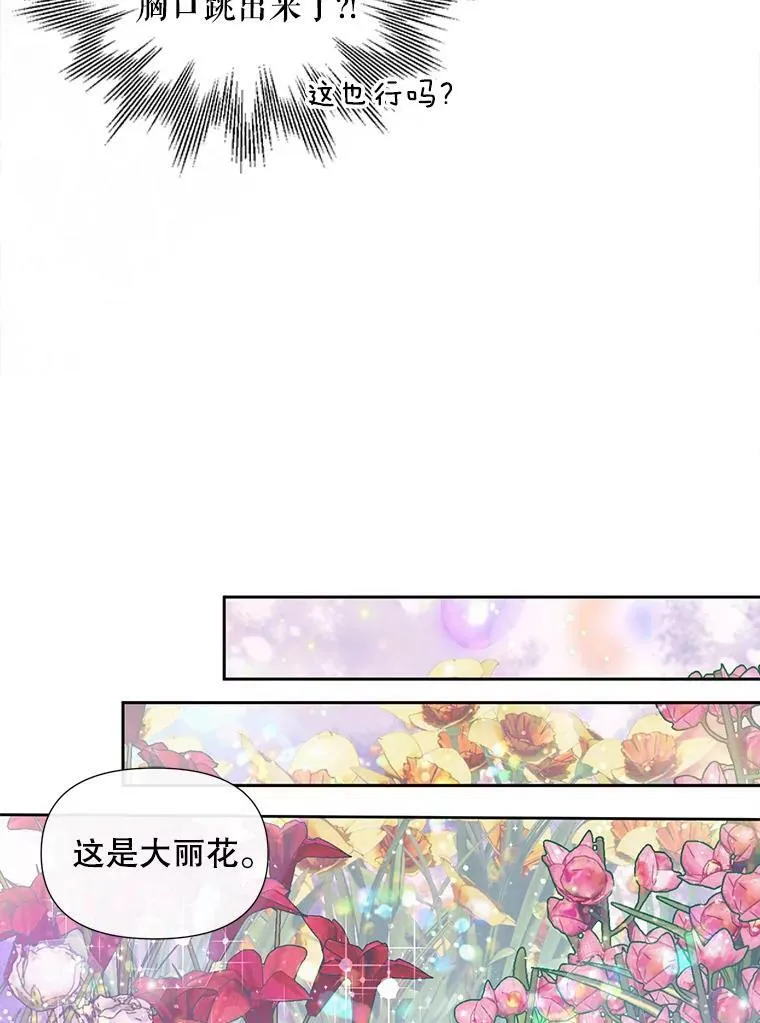11.百般呵护11