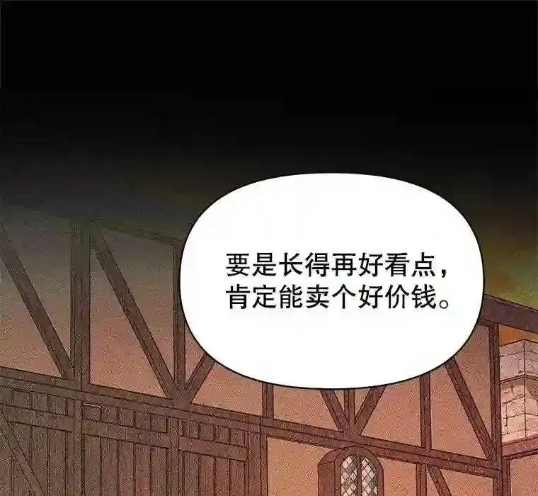 24.神圣帝国81