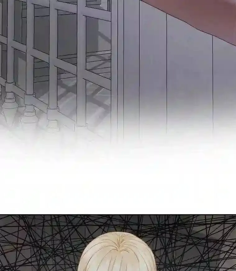 27.间谍28