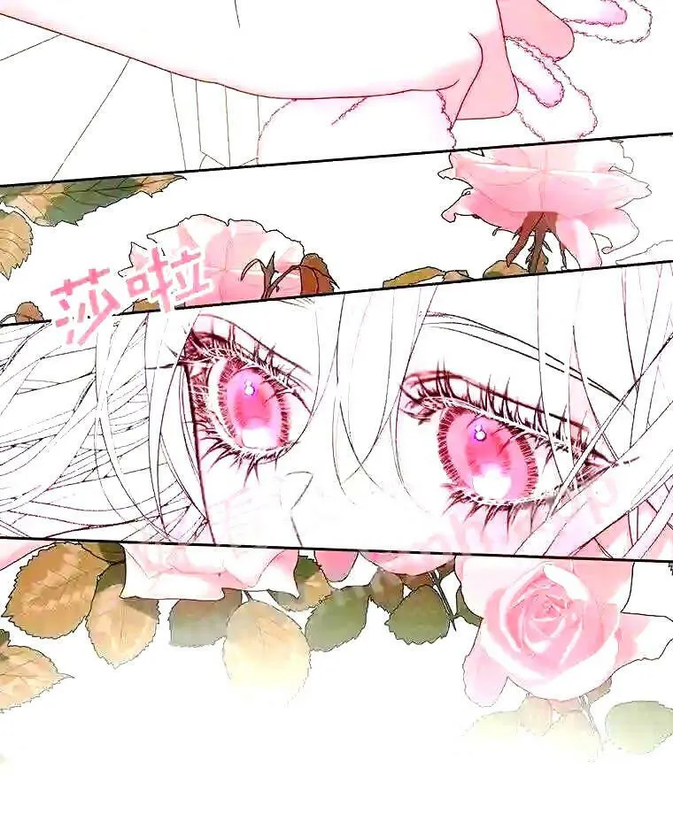 38.互通姓名32