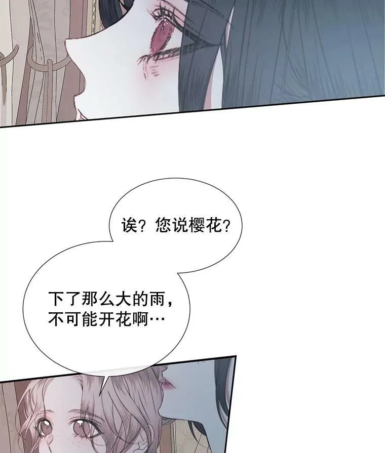 9.樱花树的重生87