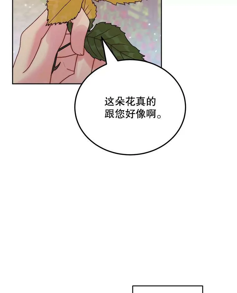 52.再次相遇14