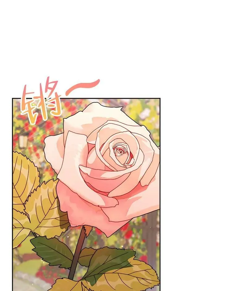 52.再次相遇13