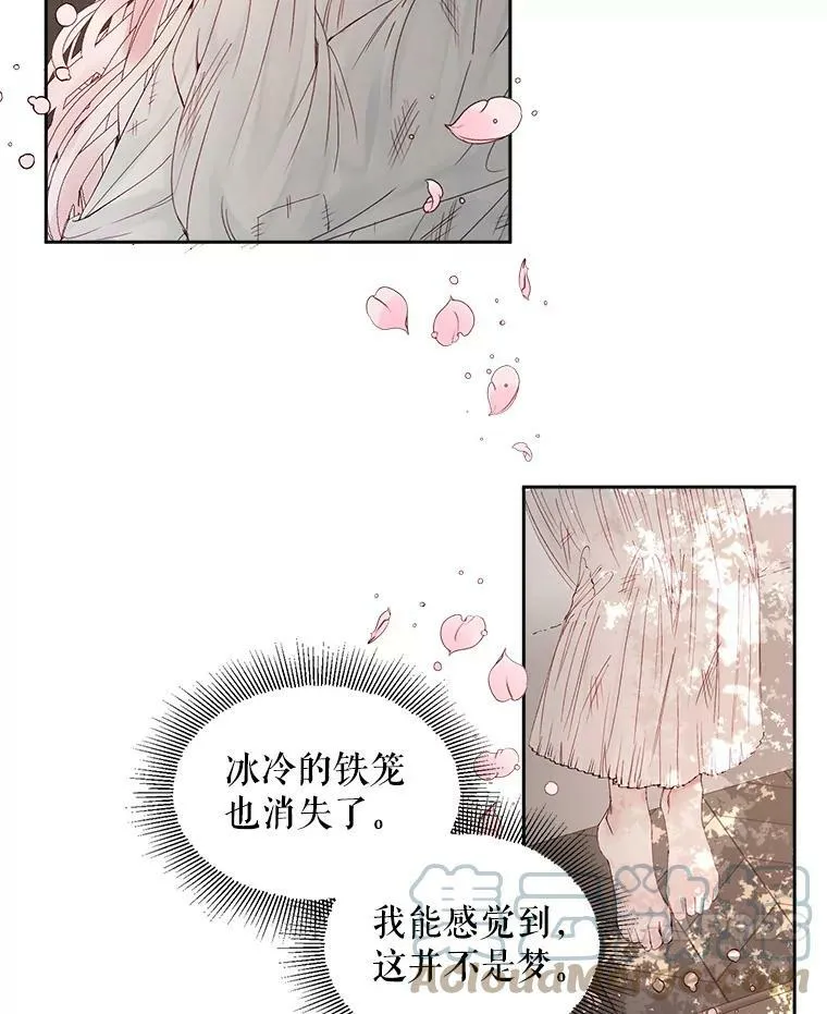 2.复仇81