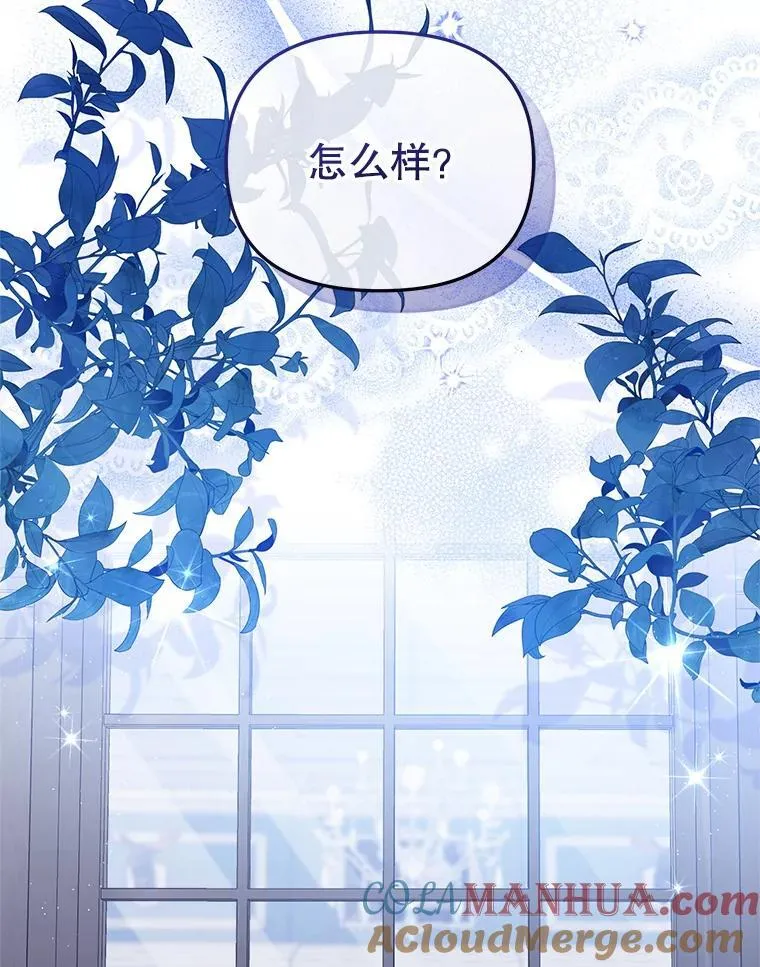 28.特别的提议100