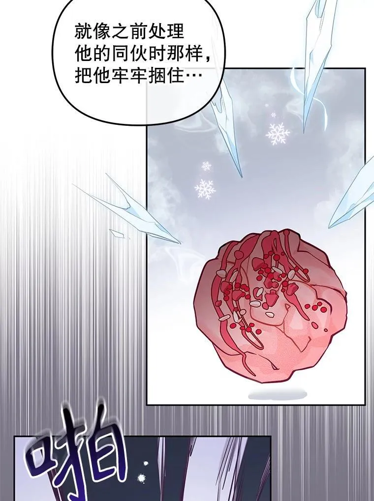 28.特别的提议2