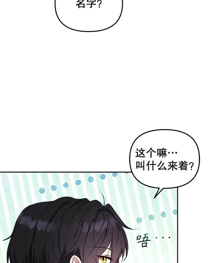 51.家庭教师114