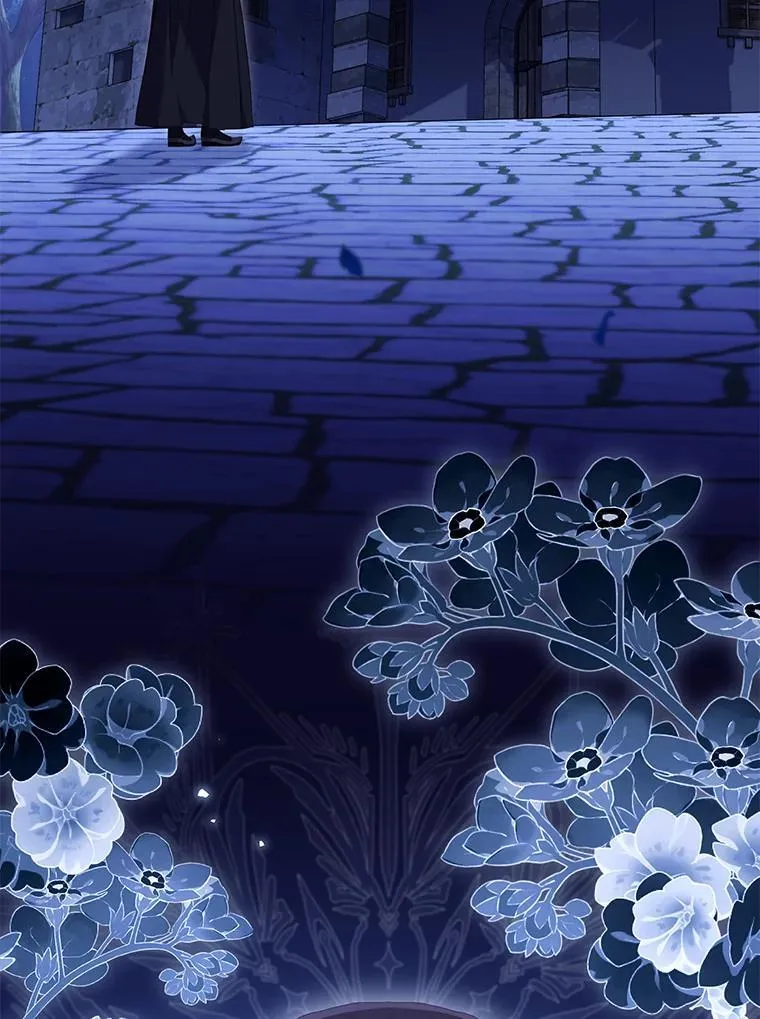 40.道歉95