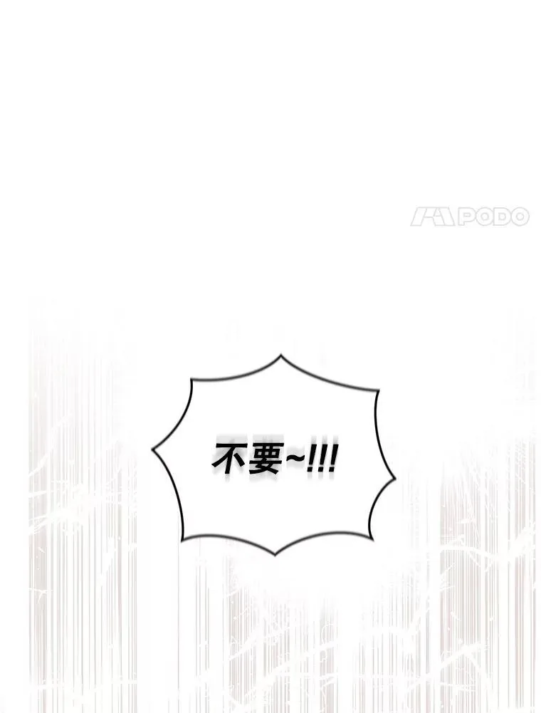 28.特别的提议27