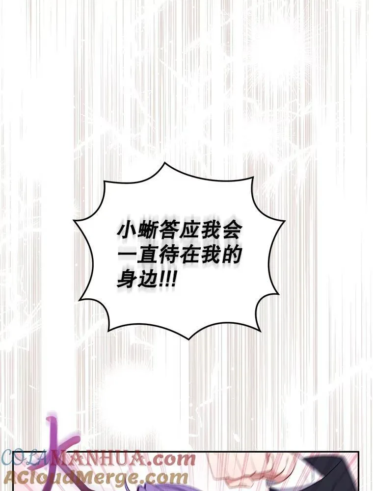 28.特别的提议28