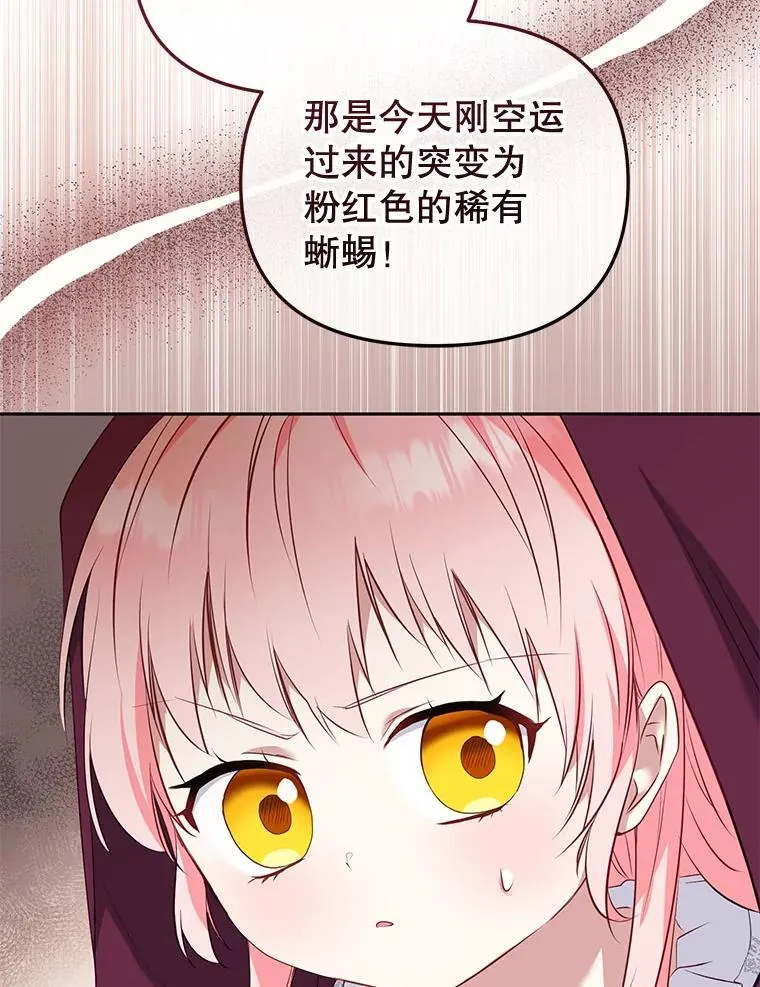 33.逃出拍卖场66