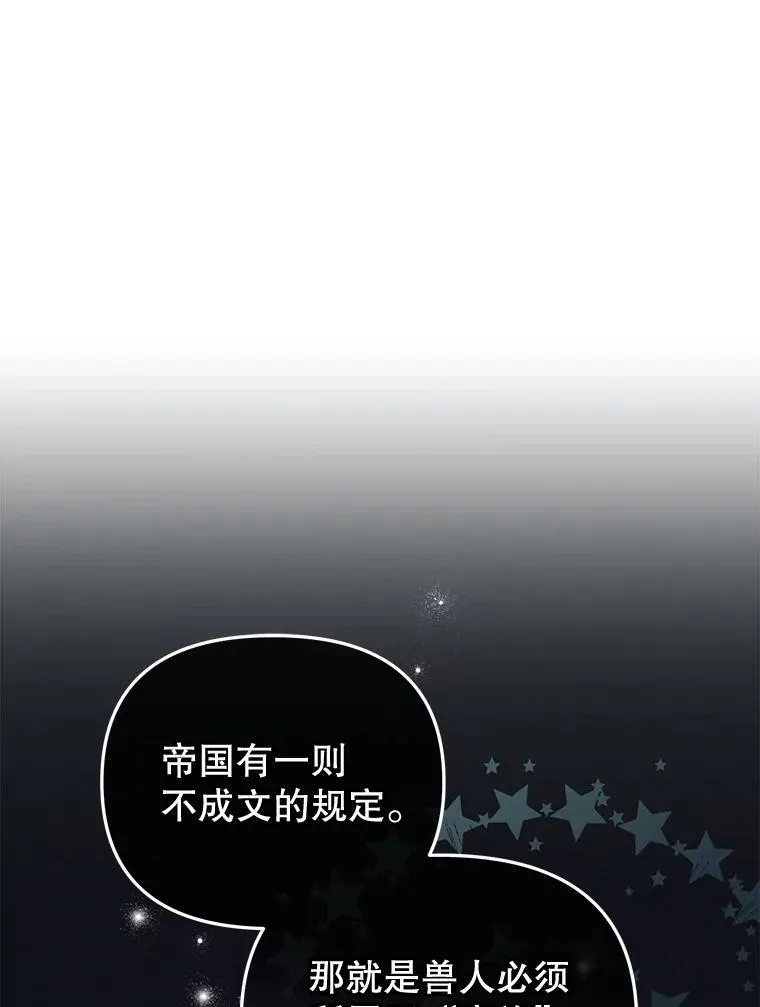 28.特别的提议77